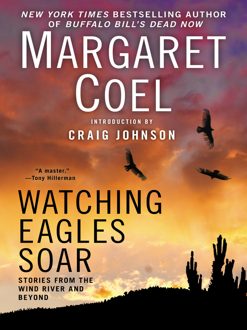 Cover image for Watching Eagles Soar